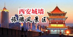 男女透逼软件中国陕西-西安城墙旅游风景区